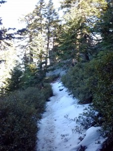 Snow along Fuller Ridge