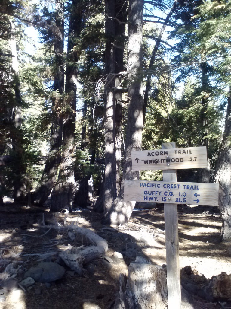 Junction of PCT and Acorn Trail