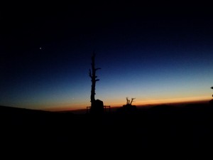 Sunset, Mt. Baden-Powell