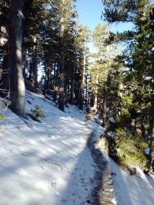 Just past Mt. Baden-Powell