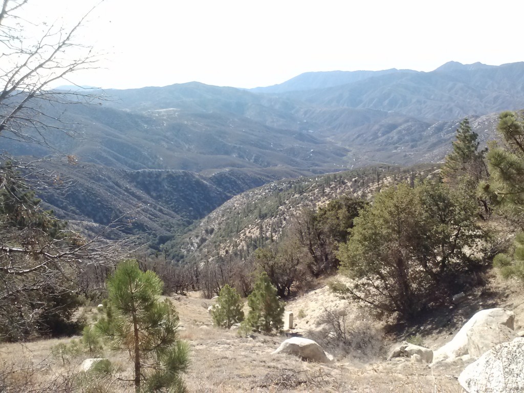 Angeles National Forest, looking south