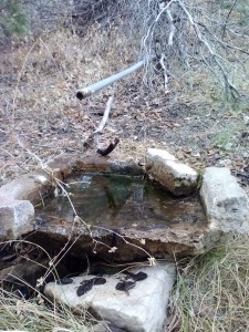 Unnamed(?) Spring near Bench Camp