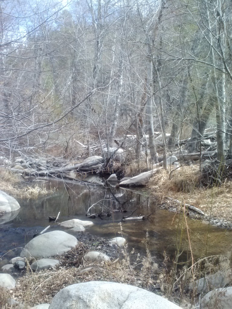 Hauser Creek