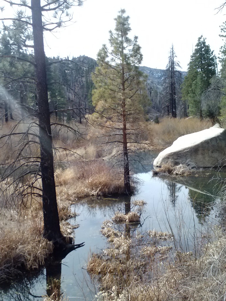 Hauser Creek