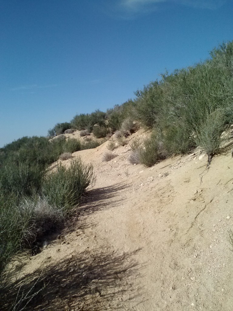 Desert trail