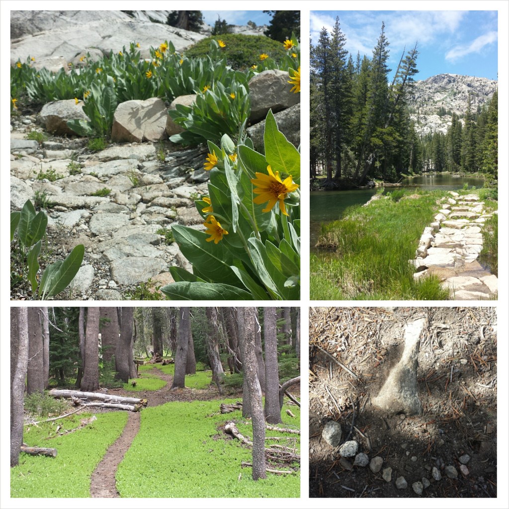 PCT Section I Toiyabe National Forest Yosemite Wilderness stone trails wildflowers