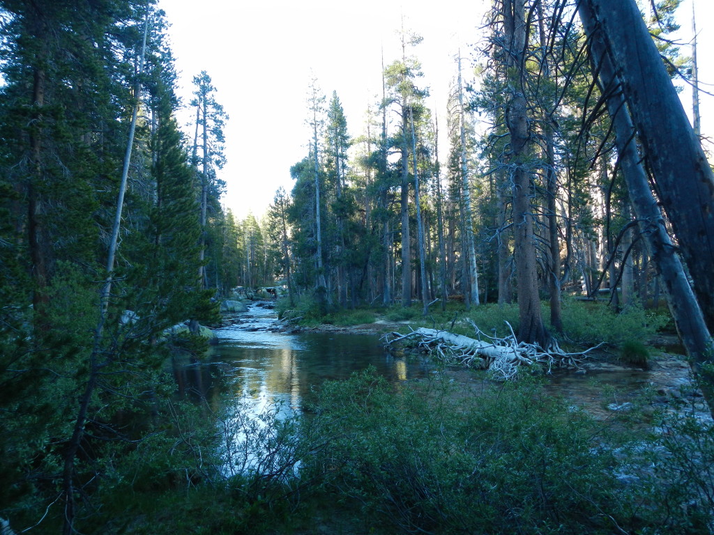 Bear Creek