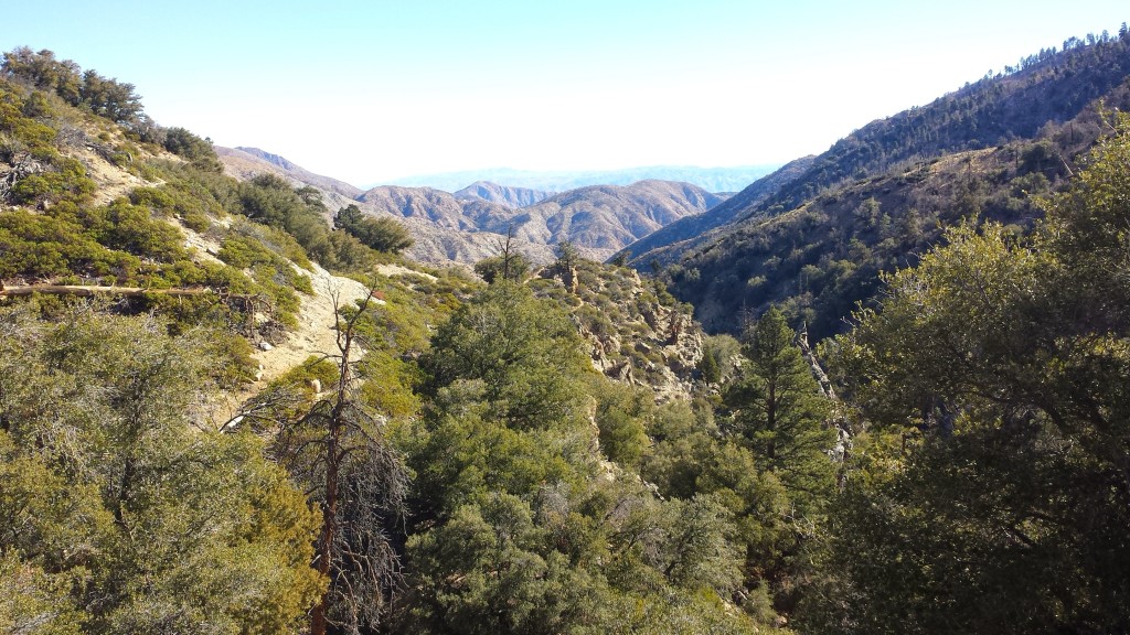 PCT Section C San Bernardino National Forest