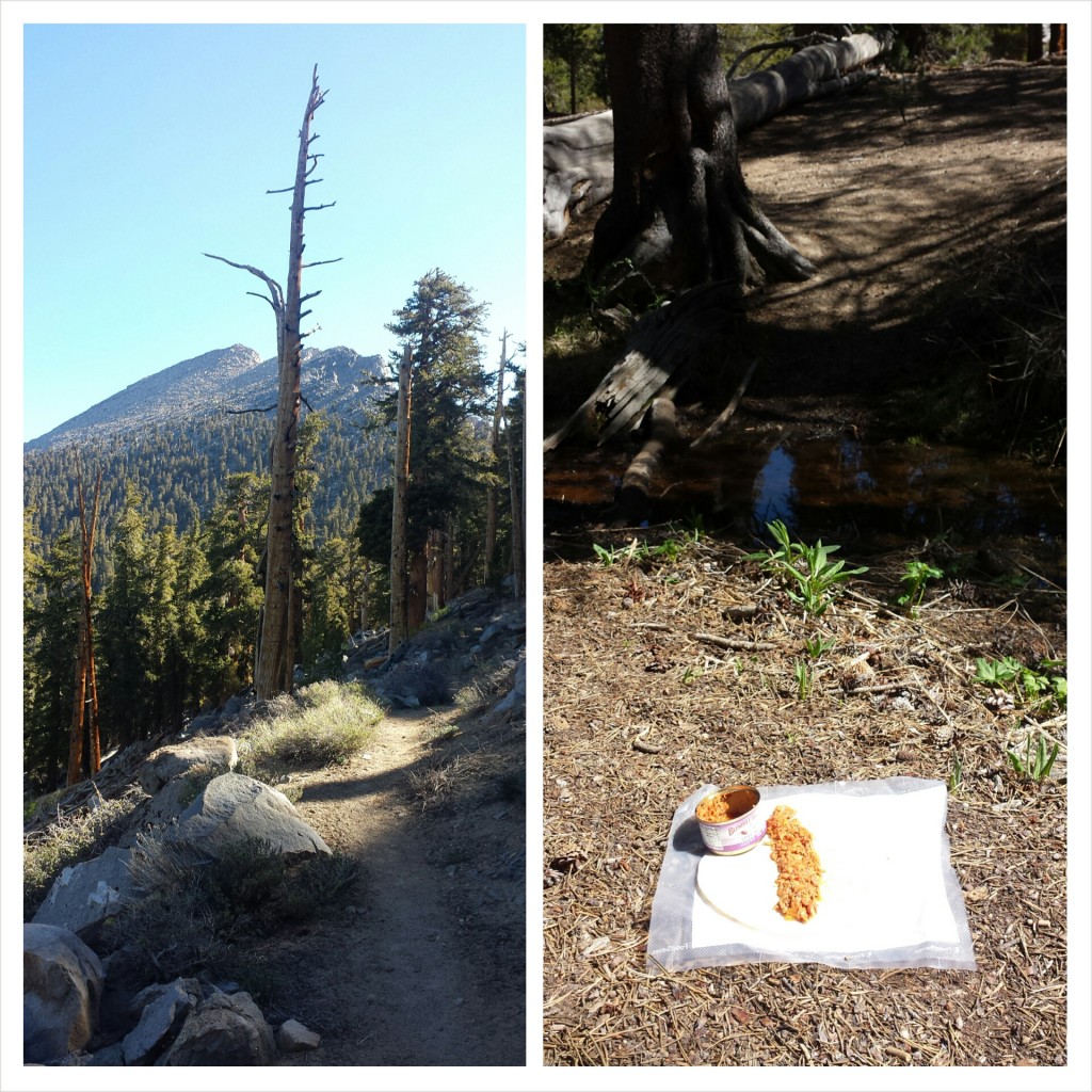 PCT Section G Sequoia National Forest trail food tuna lunch