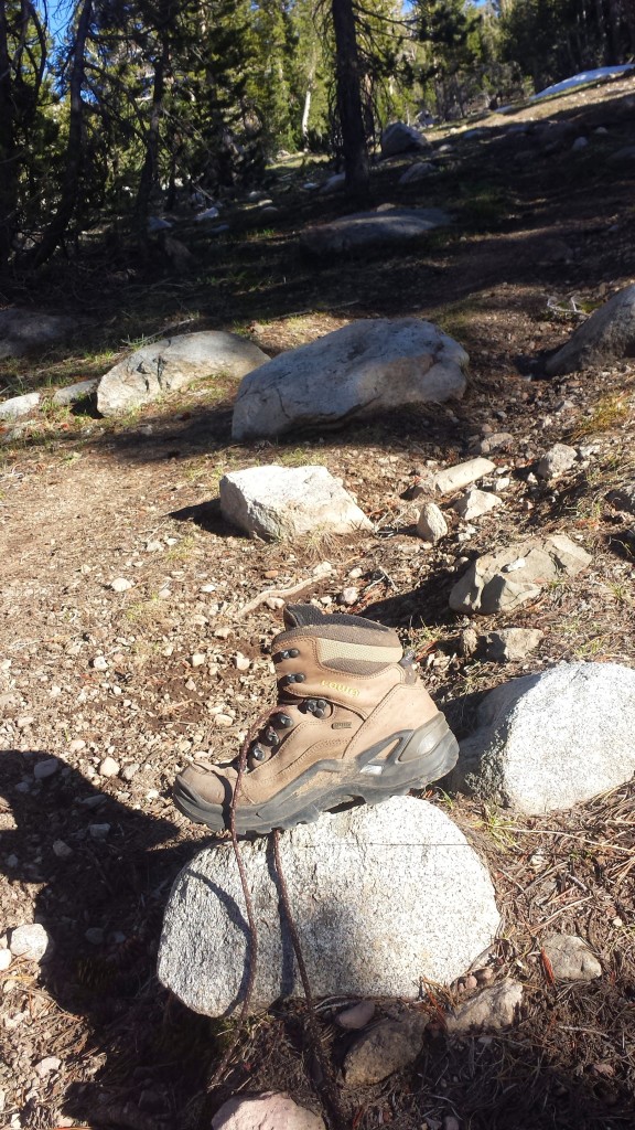 PCT Section J Toiyabe National Forest Carson Iceberg Wilderness boot
