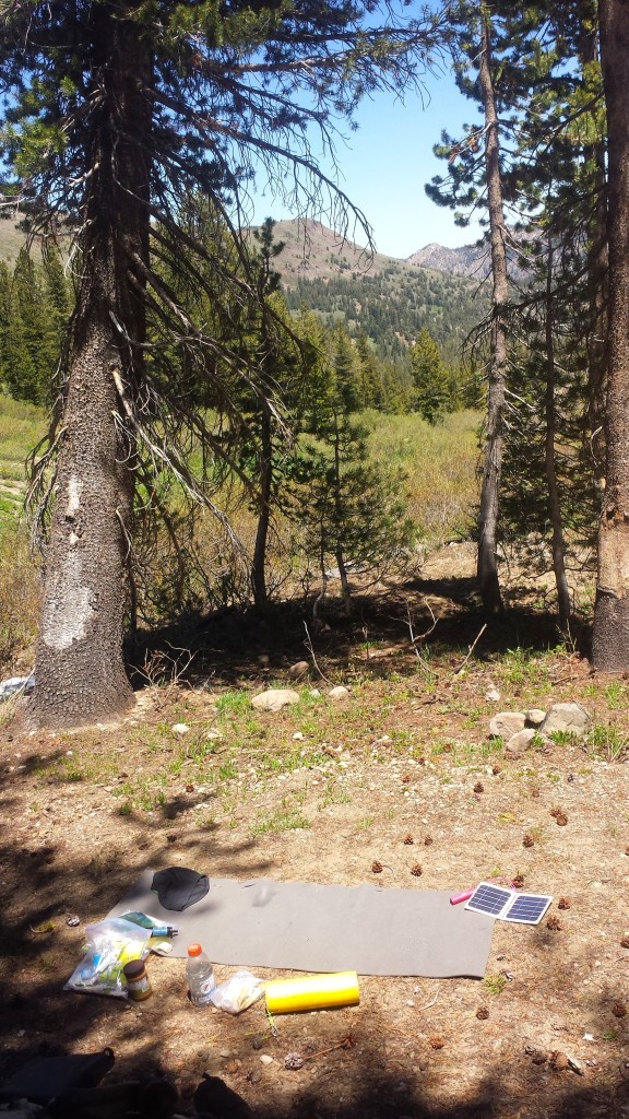 PCT Section J Toiyabe National Forest Carson Iceberg Wilderness