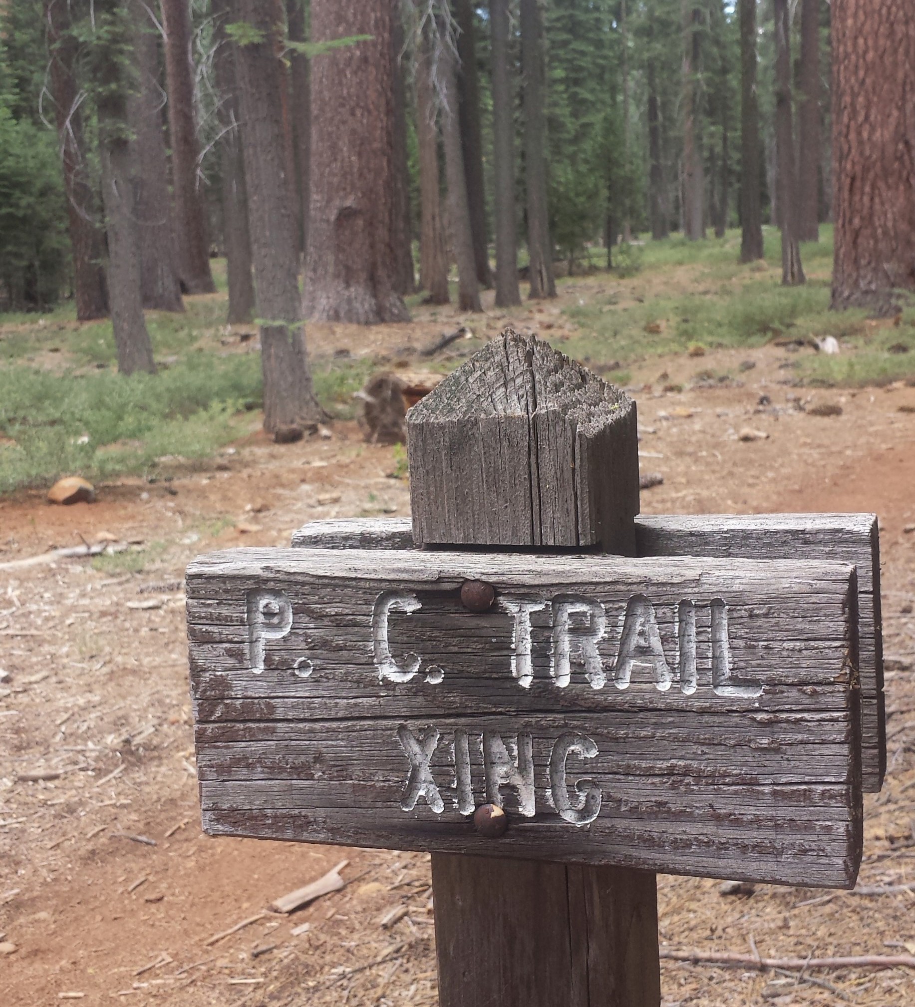 PCT Section N Lassen National Forest Highway 36