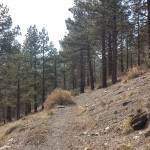 pct-section-d-48-san-gabriel-mountains