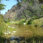 los-padres-national-forest-san-rafael-wilderness-lower-manzana-trail-2