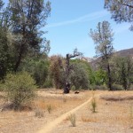 los-padres-national-forest-san-rafael-wilderness-lower-manzana-trail-3